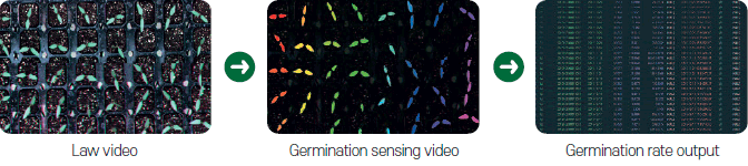 Law video → Germination sensing video → Germination rate output