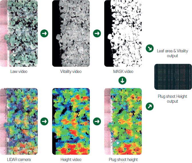 Law video → Vitality video → MASK video → Leaf area & Vitality output Plug shoot Height output  ← / → Plug shoot height video ← Height video ← LIDAR camera Law video
