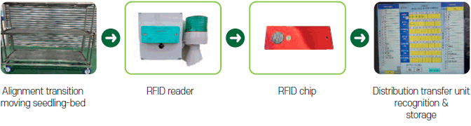 Alignment transition moving seedling-bed → RFID reader → RFID chip → Distribution transfer unit recognition & storage