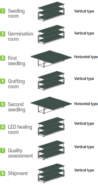 1.Seeding room-Vertical type,2.Germination room-Vertical type,3.First seedling-Horizontal type,4.Grafting roomVertical type,5.Second seedlingHorizontal type,6.LED healing room-Vertical type,7.Quality assessment-Vertical type,8.Shipment-Vertical type