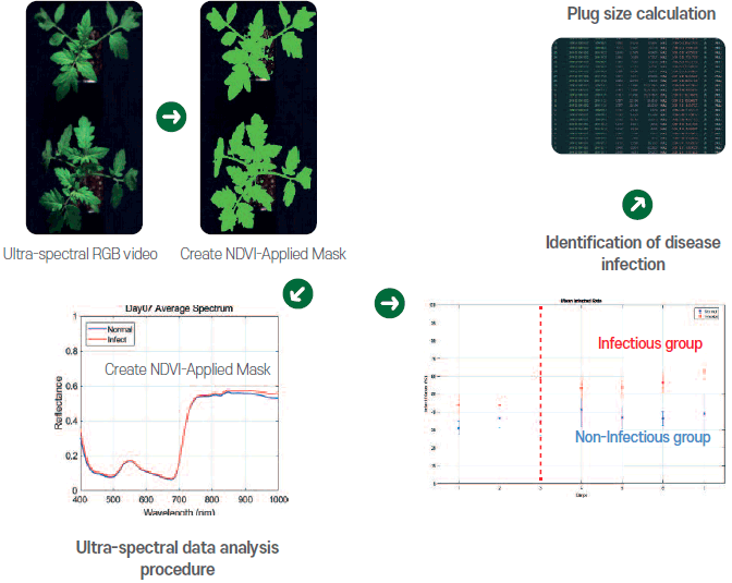 Plug internal matrix data measuremen - Ultra-spectral RGB video →Create NDVI-Applied Mask → Ultra-spectral data analysis procedure → Identification of disease infection → Plug size calculation